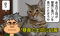 346：上司の昼食に幻滅し部下が辞職