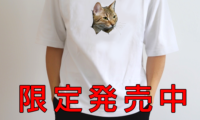 猫（チロさん）のオモシロTシャツ、限定発売中・・・・